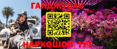 гидра Новодвинск