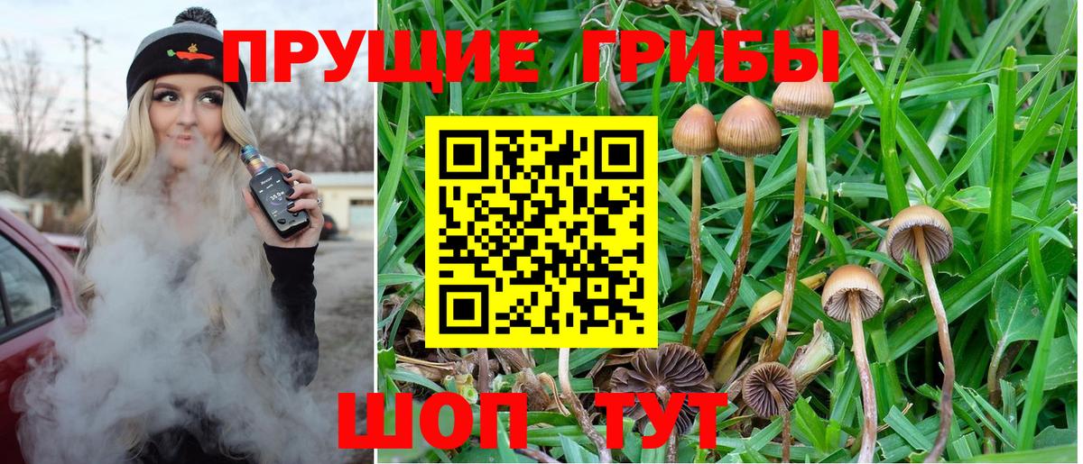 Галлюциногенные грибы Cubensis Сыктывкар